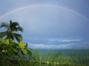 rainbow-blue-osa-costa-rica