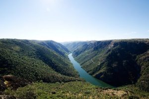 Duero Canyon, Spain