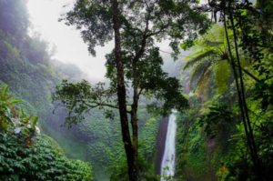 Life In The Day Of A Blue Osa Volunteer In Costa Rica