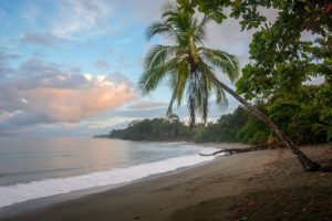 Running On The Osa Peninsula