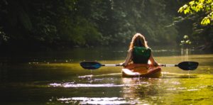 mangrove kayak tour || eco-tour adventure || Blue Osa Yoga Retreat