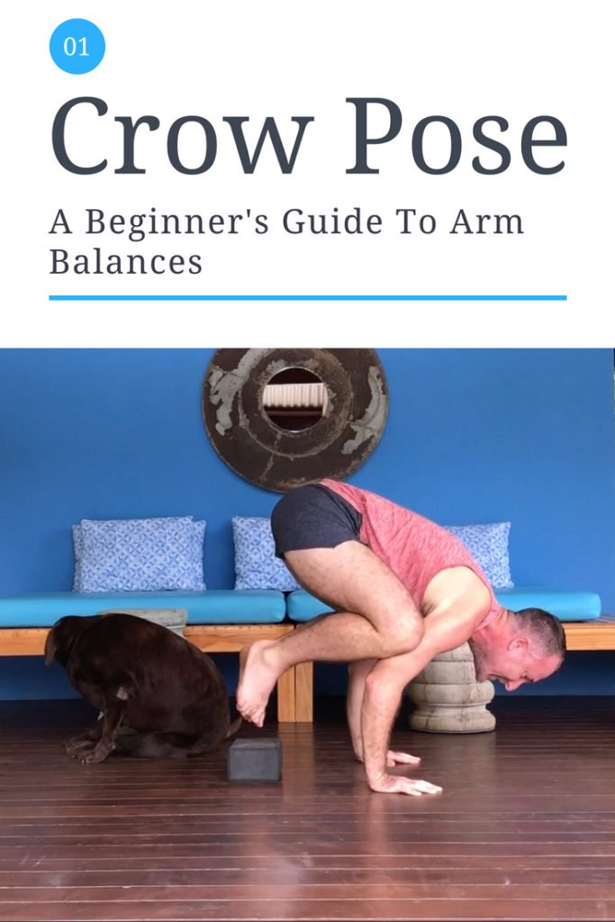 Easy arm balance for yoga beginners | Crow pose Bakasana #yogaforbeginners  #armbalance #crowpose - YouTube