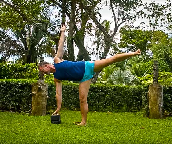 Ardha Chandrasana | Half Moon Pose | Light on Yoga Challenge | Iyengar Yoga  - YouTube