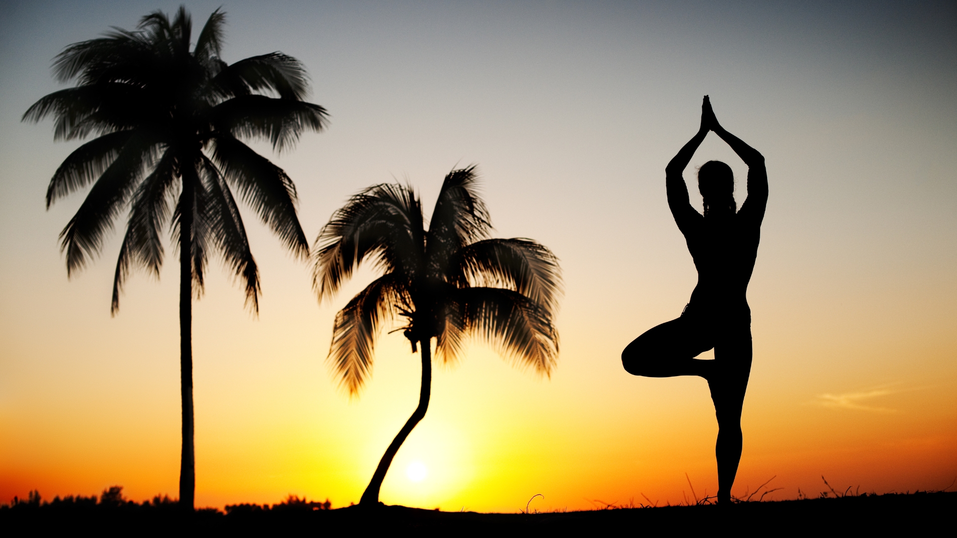 Yoga Pose: Eight Limbed Salutation Pose | YogaClassPlan.com