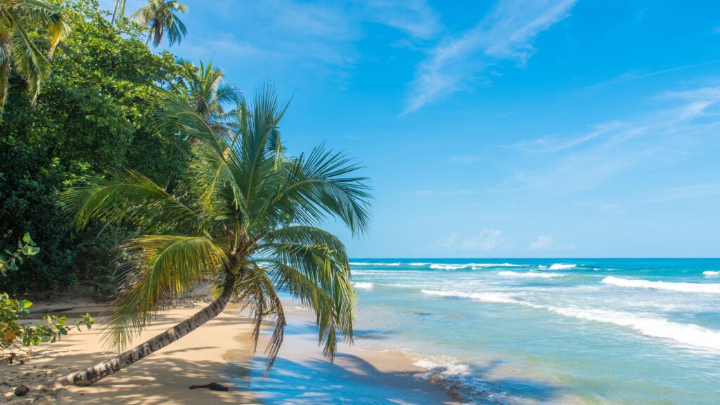 beach in costa rica