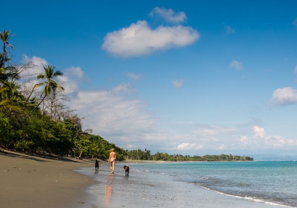 Blue Osa Yoga Retreat & Spa in Costa Rica, private beach with woman walking two dogs on it